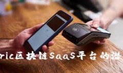 探讨Fabric区块链SaaS平台的潜力与应用