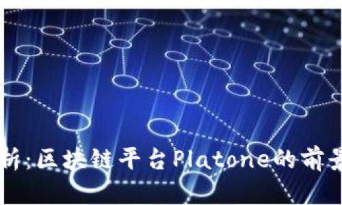 深入解析：区块链平台Platone的前景与应用