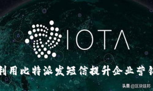 如何利用比特派发短信提升企业营销效果